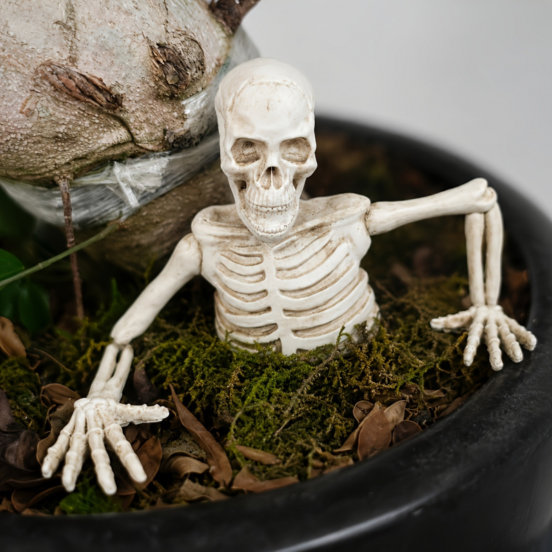 Half-body Climbing Out of the  - đánh giá và giá Bonsai Garden Landscape Design