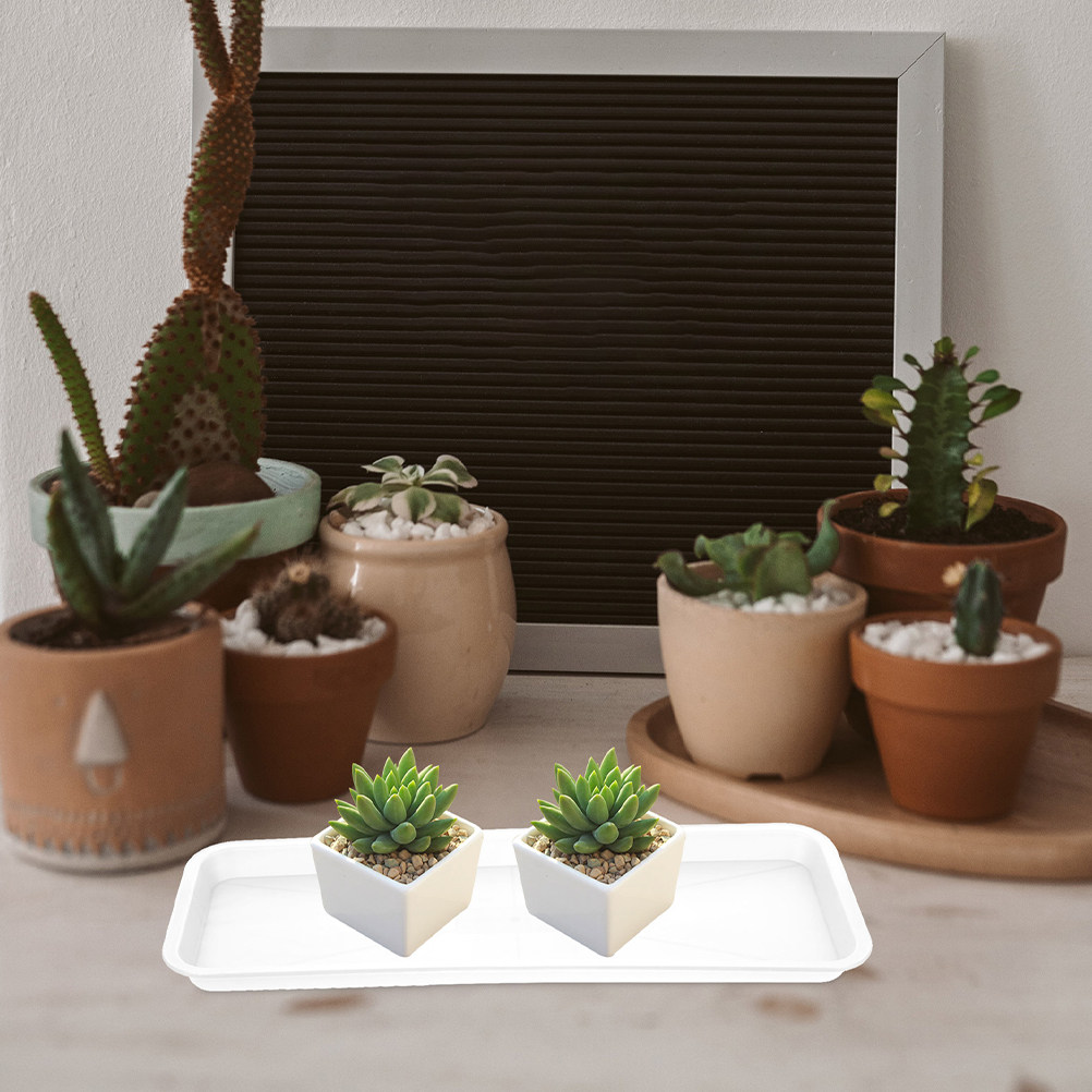 5Pcs Rectangular Shallow Plant - đánh giá và giá Drip Tray Saucer