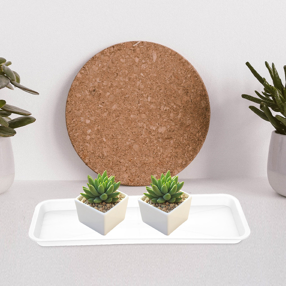 5Pcs Rectangular Shallow Plant - đánh giá và giá Drip Tray Saucer